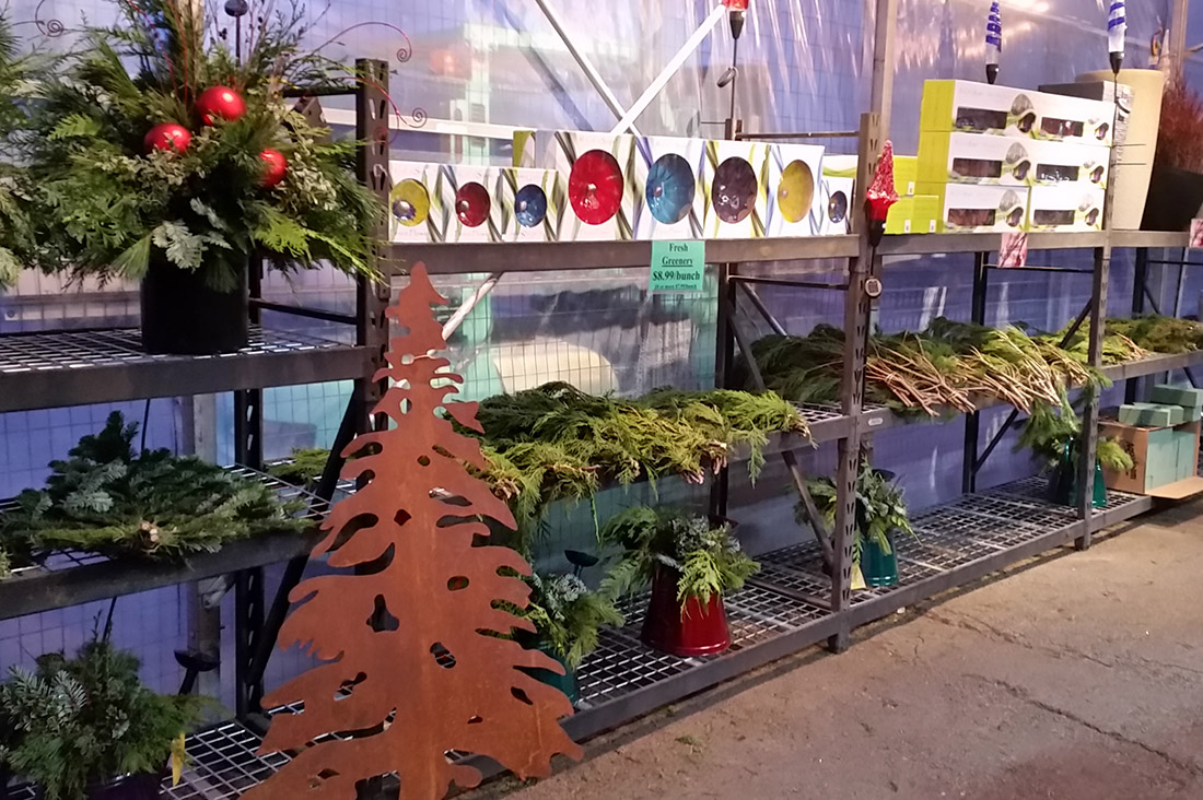 Fresh 3lb Bunches of Greenery - Plantation Garden Centre